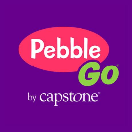 Pebble Go