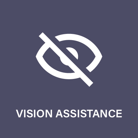 Vision Assistance