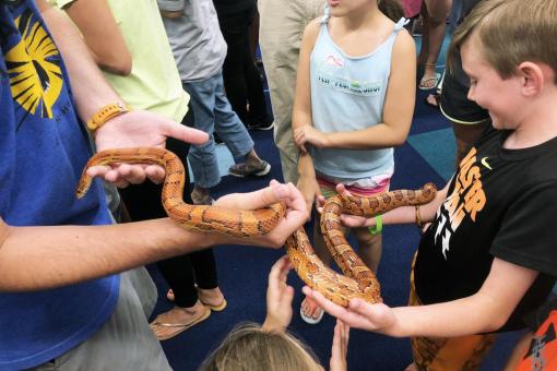 Summer Reading Snakes Alive event