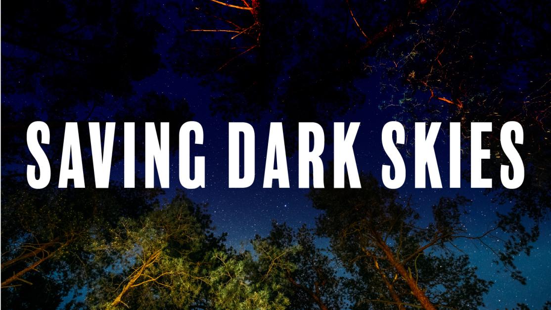 Saving Dark Skies