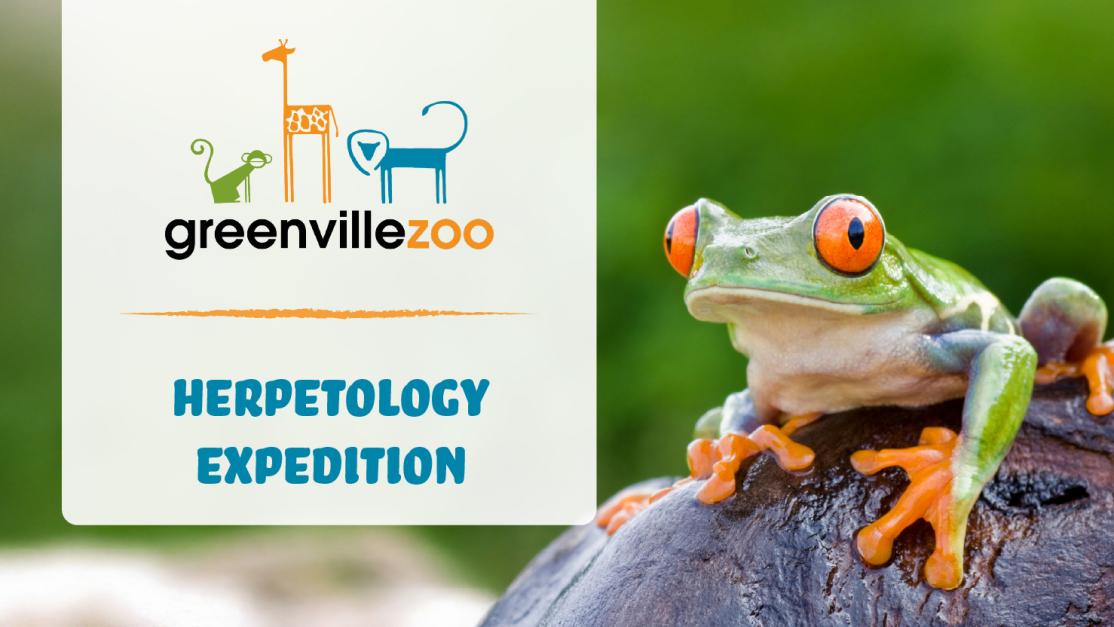 Greenville Zoo: Herpetology Expedition