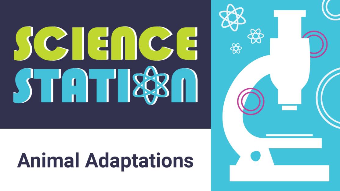 Science Station: Animal Adaptations