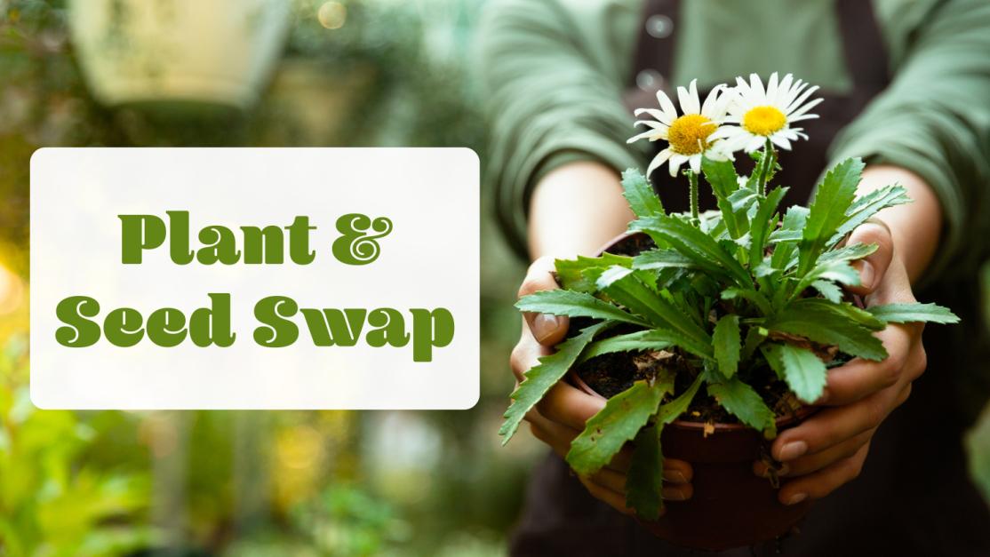 Plant & Seed Swap